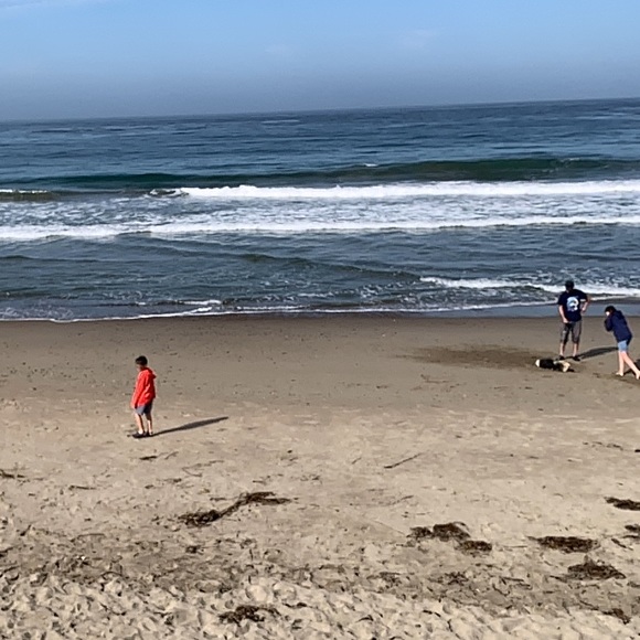 Life is a party, dress like it! - Picture 7 of 10